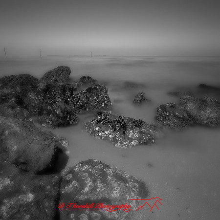 shadow-light-project-florida_2013-37-nas