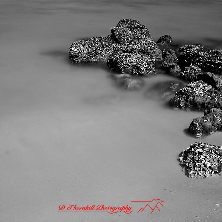 shadow-light-project-florida_2013-38