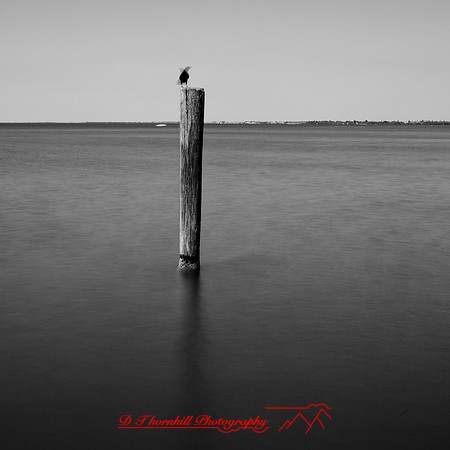 shadow-light-project-florida_2013-40
