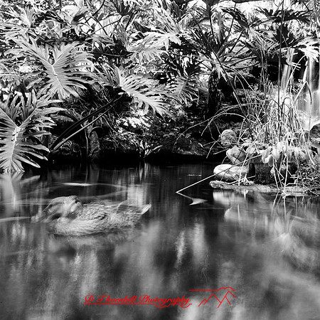 shadow-light-project-florida_2013-41