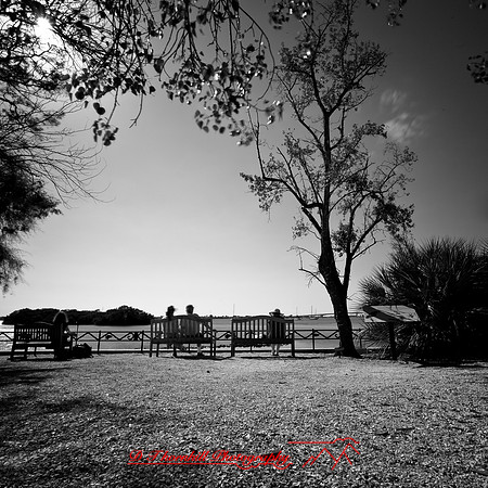 shadow-light-project-florida_2013-42