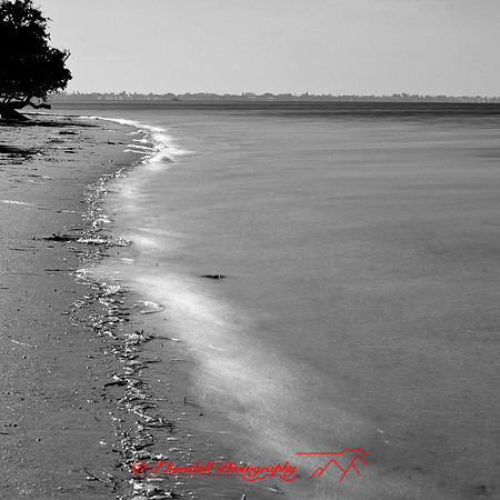 shadow-light-project-florida_2013-46