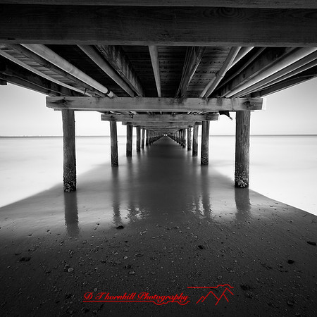 shadow-light-project-florida_2013-61