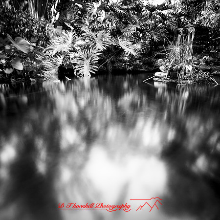 shadow-light-project-florida_2013-62
