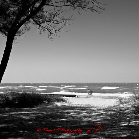 shadow-light-project-florida_2013-05