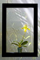 florida - 2022 - spring - 087_DxO