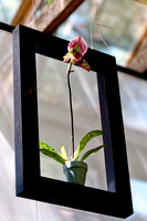 florida - 2022 - spring - 098_DxO