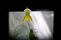 florida - 2022 - spring - 100_DxO