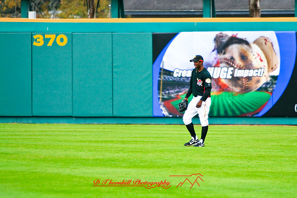 florida-2008-sports_08.jpg