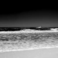 florida - 2022 - spring - 006_DxO-nik-ps-ai
