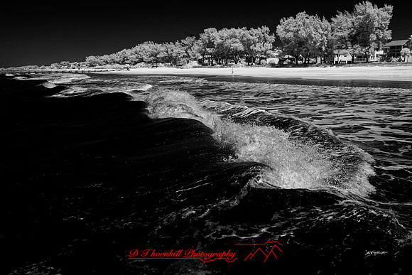 florida - 2022 - spring - 010_DxO