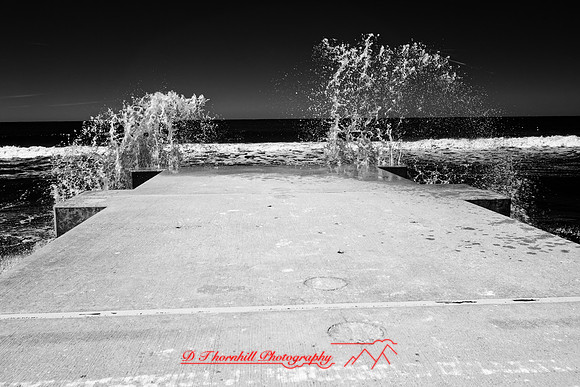 florida - 2022 - spring - 007_DxO