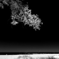 florida - 2022 - spring - 001_DxO