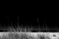 florida - 2022 - spring - 002_DxO