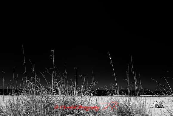 florida - 2022 - spring - 002_DxO
