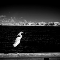 florida - 2022 - spring - 057_DxO