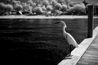 florida - 2022 - spring - 062_DxO