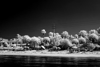florida - 2022 - spring - 065_DxO