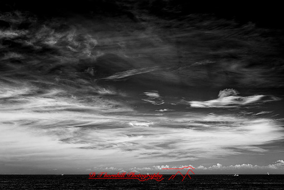 florida - 2022 - spring - 058_DxO