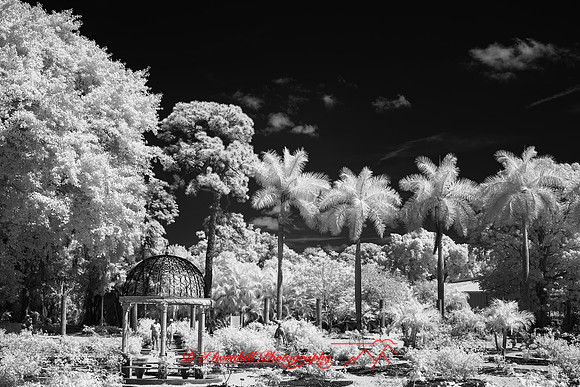 florida - 2022 - spring - 021
