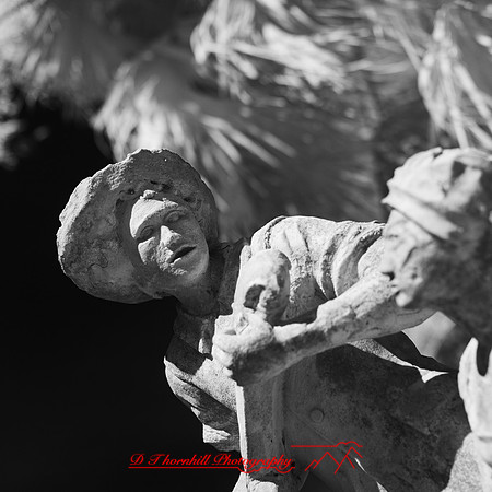 florida - 2022 - spring - 026