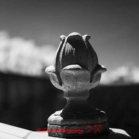 florida - 2022 - spring - 028