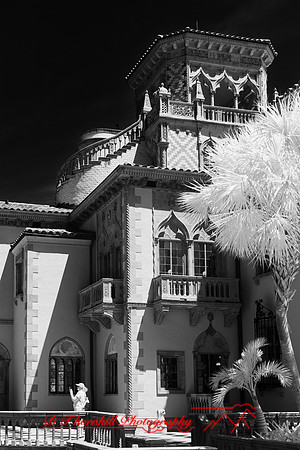 florida - 2022 - spring - 031