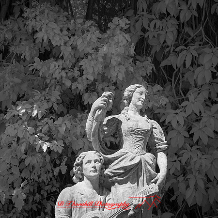 florida - 2022 - spring - 022