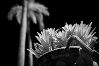florida - 2022 - spring - 024