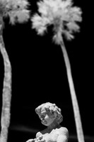 florida - 2022 - spring - 025