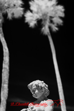 florida - 2022 - spring - 025
