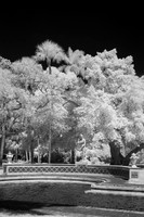 florida - 2022 - spring - 023