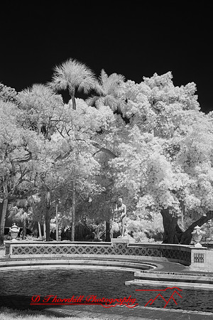florida - 2022 - spring - 023