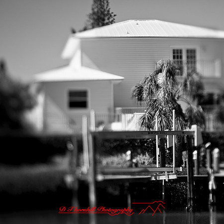 florida-2013-images018