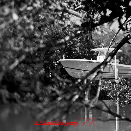 florida-2013-images019