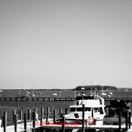 florida-2013-images028