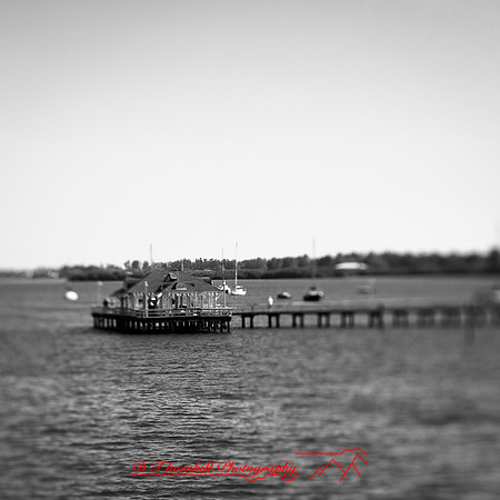 florida-2013-images029