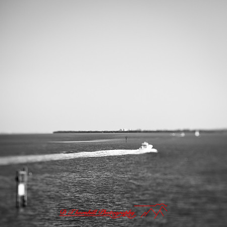 florida-2013-images030
