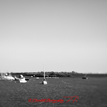 florida-2013-images031