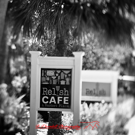 florida-2013-images003