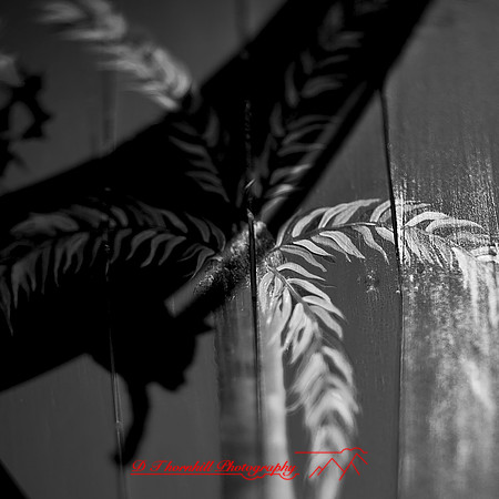 florida-2013-images014