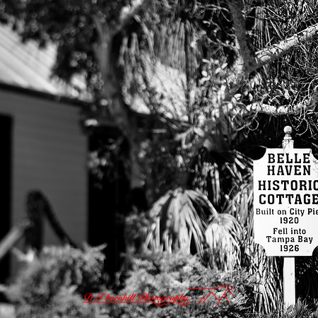 florida-2013-images016