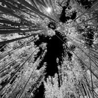 florida - 2022 - spring - 016