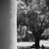 florida - 2022 - spring - 018