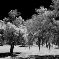 florida - 2022 - spring - 019
