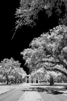 florida - 2022 - spring - 013