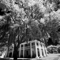 florida - 2022 - spring - 011