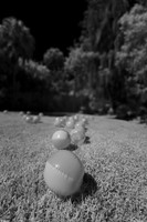 florida - 2022 - spring - 035