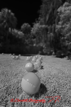 florida - 2022 - spring - 035