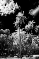 florida - 2022 - spring - 032